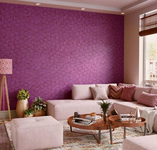 Asian Paints Royale Play Spatula Tool