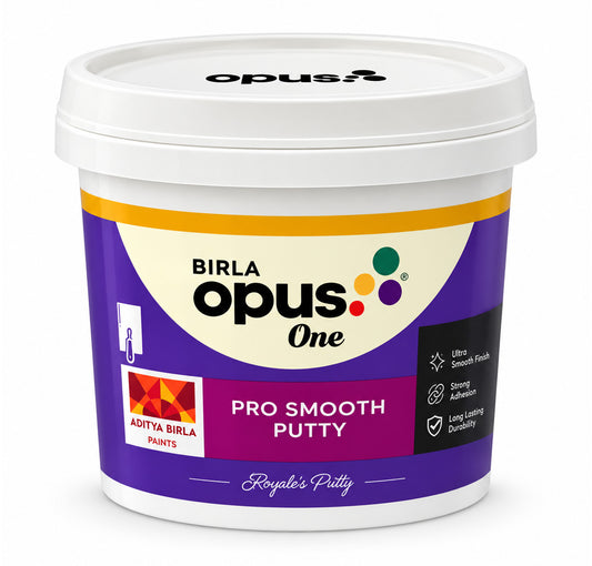 Birla Opus Pro Smooth Acrylic Putty - White Birla Opus Paints