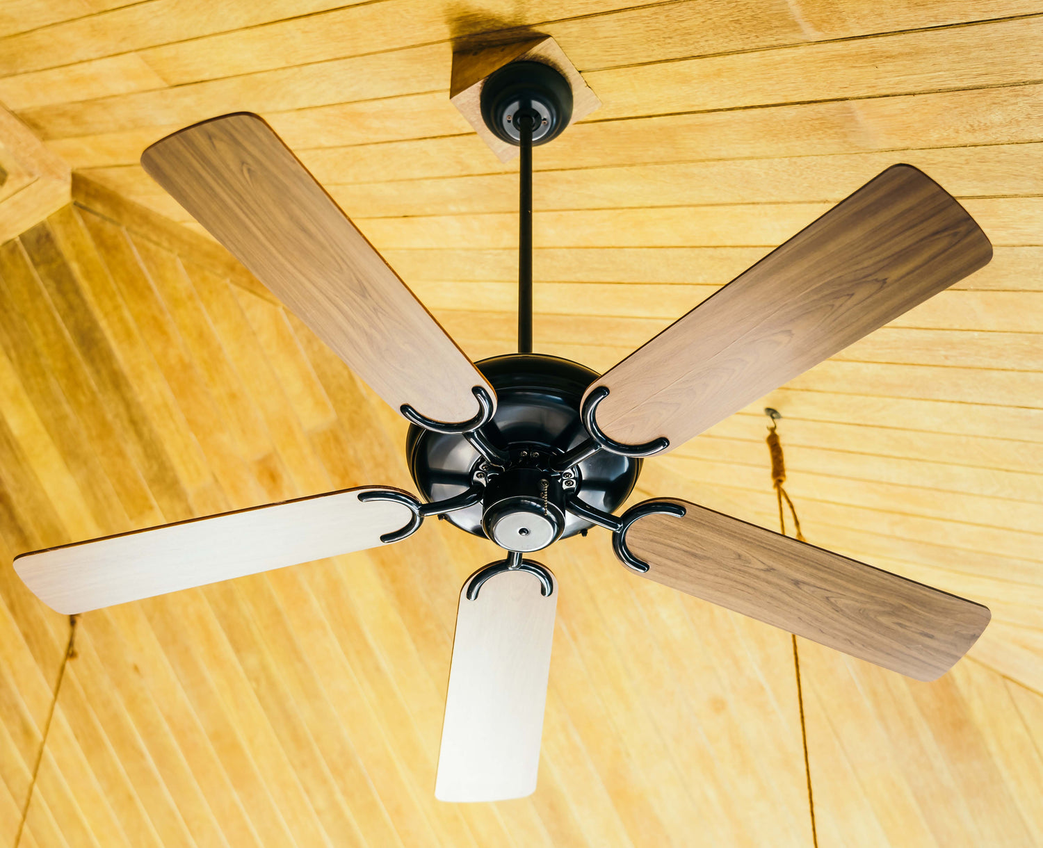 Ceiling Fans